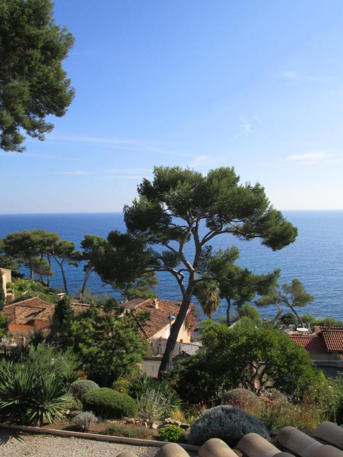 Les Bruyeres Bed and Breakfast Saint-Mandrier-sur-Mer Eksteriør billede