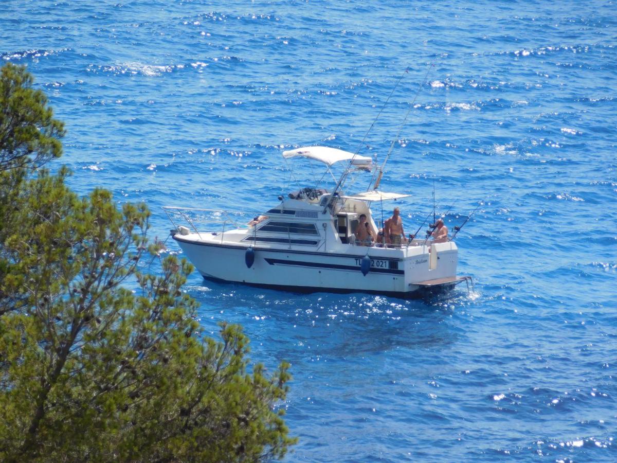 Les Bruyeres Bed and Breakfast Saint-Mandrier-sur-Mer Eksteriør billede