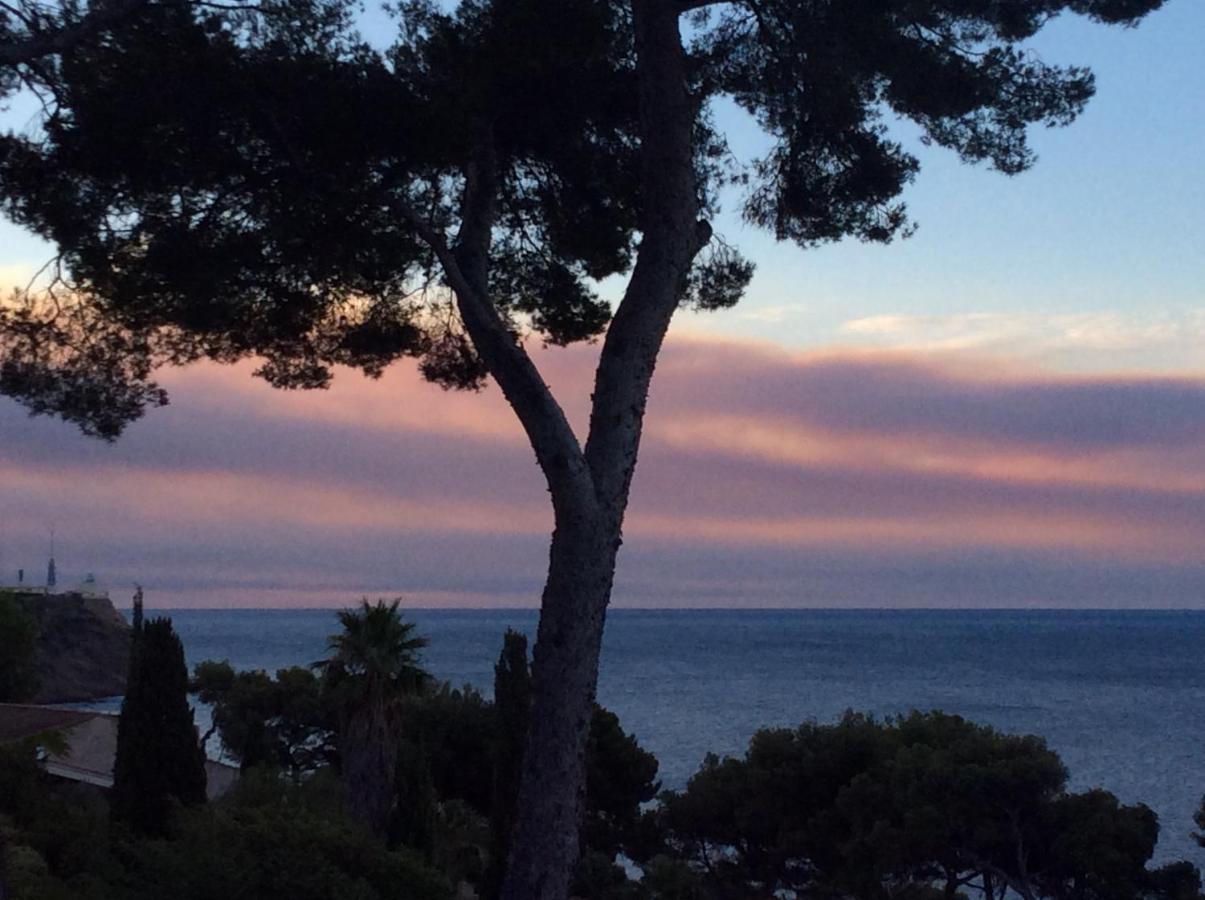 Les Bruyeres Bed and Breakfast Saint-Mandrier-sur-Mer Eksteriør billede